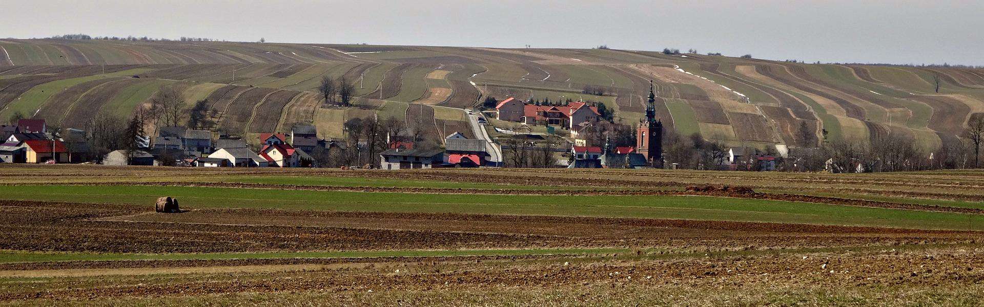 AgroEcosun Pflanzen und tiere fields 1330974 1920 - AgroEcosun Pflanzen und tiere