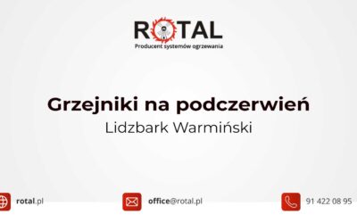 Grzejniki na&nbsp;podczerwień Lidzbark Warmiński