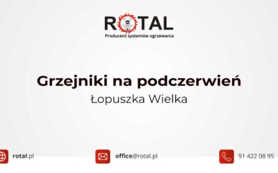 Grzejniki na&nbsp;podczerwień Łopuszka Wielka