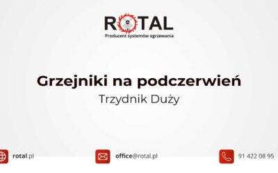 Grzejniki na&nbsp;podczerwień Trzydnik Duży